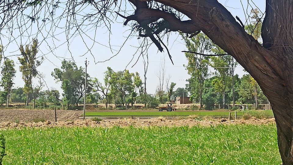 अमेरिका में डीजल और खाद महंगे होने से किसानों पर बढ़ा लागत का बोझ