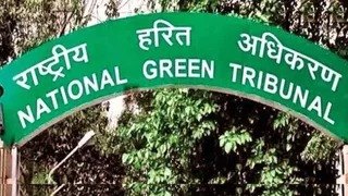 मथुरा की चार सड़कों के चौड़ीकरण पर पेड़ों का पेच,एनजीटी कमेटी ने मांगा पूरा ब्यौरा